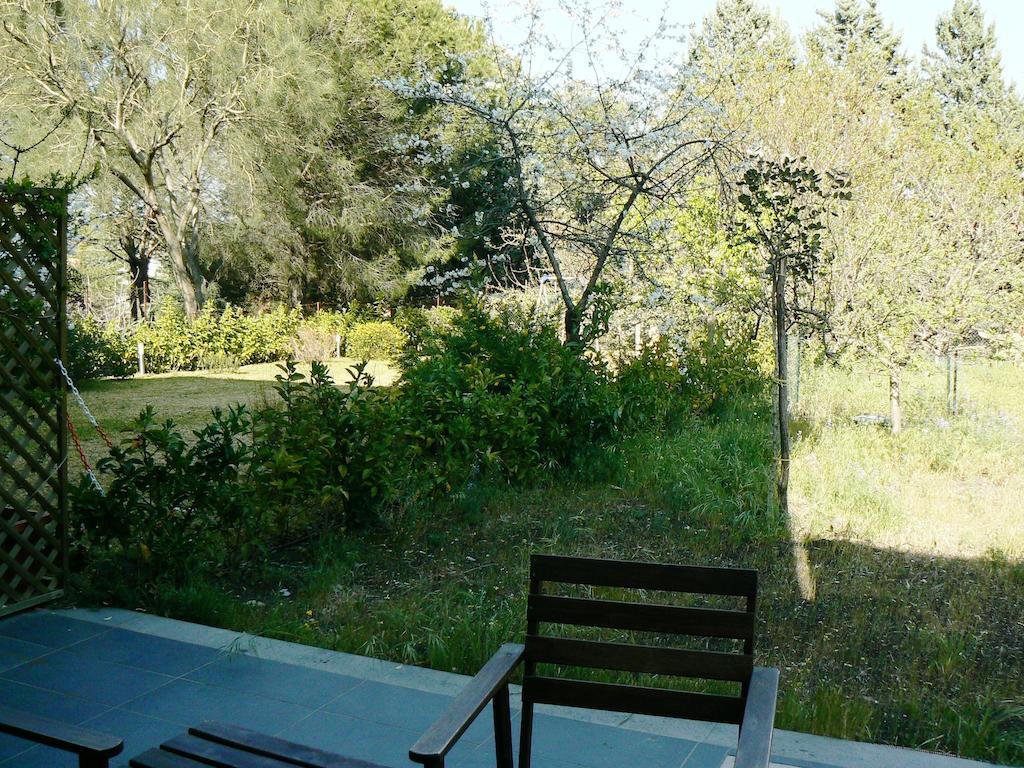 Etna Holiday Home Nicolosi Kültér fotó