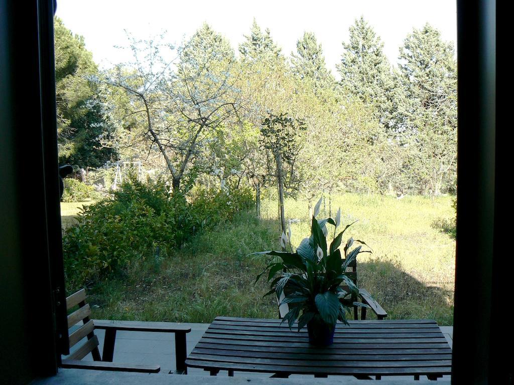 Etna Holiday Home Nicolosi Kültér fotó
