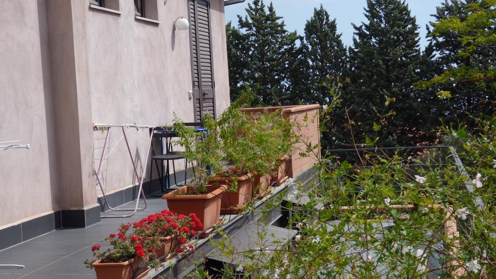 Etna Holiday Home Nicolosi Kültér fotó